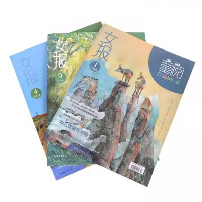Book & Business Propaganda Magazine Printing Offset Paper Advertising Brochure Printing