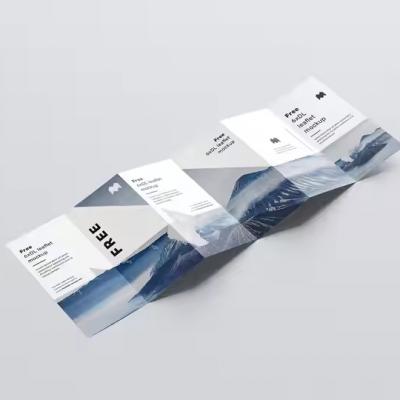 A4 Brochure Holder Weatherresistant Hot Sale Flyer Leaflet Brochure Spiral Binding Brochure